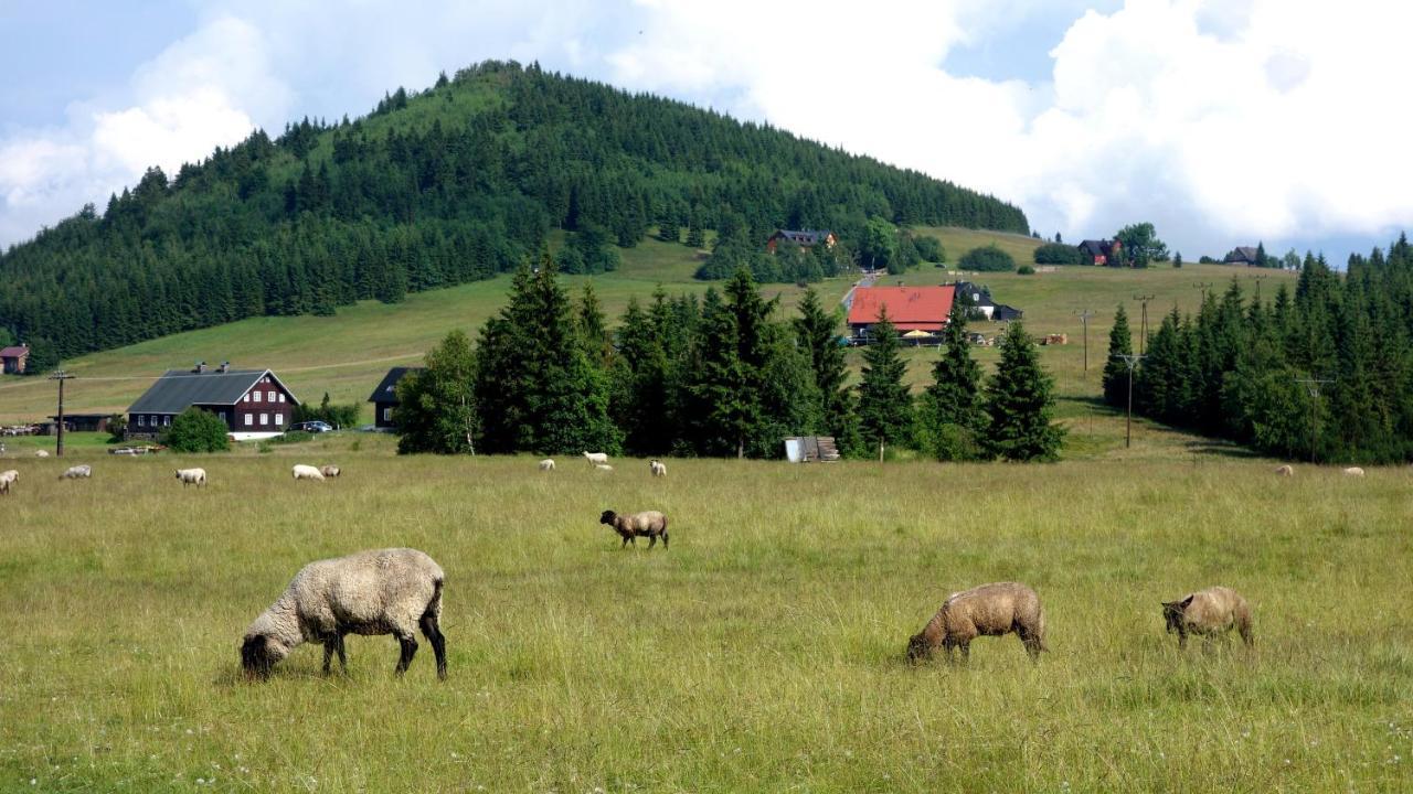 - Appartamento Rokytnice nad Jizerou